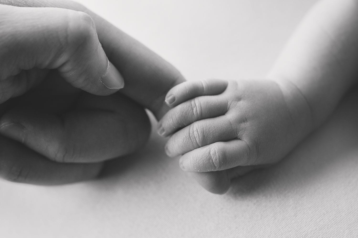 A newborn baby holding the finger of their father in the studio at New Orleans prenatal chiropractic clinic.